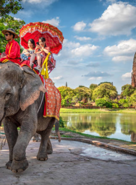 This image shows elephants enjoying their natural habitat at the Ayutthaya Elephant Conservation Center. The serene surroundings emphasize the center's dedication to preserving these majestic animals and their environment.