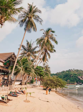 This image shows the tranquil landscape of Chalok Baan Kao Bay, with calm waters and swaying palm trees framing the scene. The peaceful ambiance and unspoiled beauty of this bay make it a perfect location for landscape and beachscape photography. Photographers can capture the serene atmosphere of Koh Tao away from the hustle and bustle of more crowded beaches.