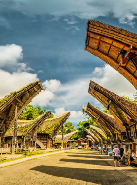  This image shows the stunning traditional Tongkonan houses of Tana Toraja, perched in the lush, green hills of South Sulawesi. The unique architectural style reflects the Torajan culture, which is known for its elaborate funeral rituals and cliff-side burial sites. Surrounded by breathtaking landscapes, the traditional village offers a serene glimpse into the spiritual practices and deep cultural history of the Toraja people. The lush valley and rolling hills enhance the mystical charm of the area.