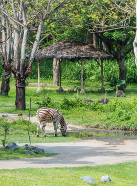 bali-safari-marine-park-wildlife-show This image shows the Bali Safari and Marine Park, where visitors can see exotic wildlife from around the world. The image captures an exciting animal show, with guests interacting with different species in a safe and educational environment. It’s a fun, immersive experience for families, providing an opportunity to learn about conservation efforts and observe animals in natural-like habitats.