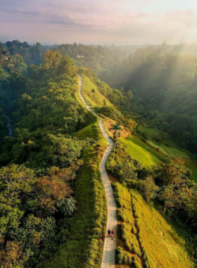 campuhan-ridge-walk-ubud This image shows the Campuhan Ridge Walk in Ubud, Bali, a scenic and peaceful trail surrounded by green hills and valleys. The image captures the lush natural beauty of the path, which offers a tranquil atmosphere for visitors. The walk is easy to moderate, perfect for those seeking a relaxing nature escape while enjoying the refreshing air and vibrant flora along the way.