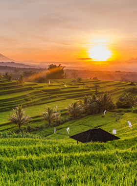 tegallalang-rice-terrace-scenic-view This image shows the stunning Tegallalang Rice Terrace in Bali, a UNESCO World Heritage site. The image highlights the lush green fields, offering a picturesque view of traditional rice farming techniques. Visitors can walk through the fields to experience the beauty and learn about Bali’s agricultural practices, making it an ideal spot for nature lovers and photography enthusiasts.
