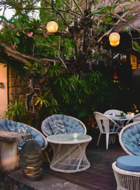 This image shows an elegant dining area at Three Monkeys Sanur, with a table featuring fusion dishes such as duck spring rolls and beef rendang. The stylish decor, with tropical greenery and comfortable seating, adds a chic yet relaxed vibe to the experience. It reflects the creativity and flavor of the restaurant.