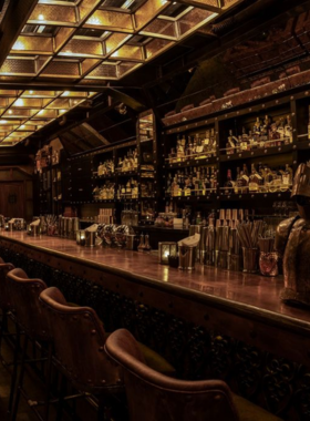 This image shows the vintage and dimly lit interiors of The Shady Pig, a speakeasy-style bar in Bali. The retro décor, creative cocktails, and intimate seating areas create a cozy and unique ambiance, perfect for small gatherings.