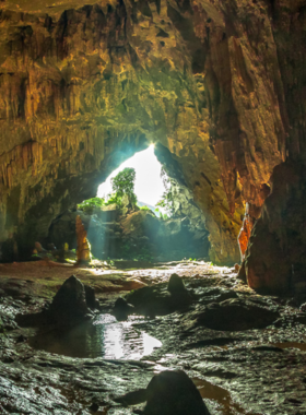 This image shows that Phong Nha-Kẻ Bàng National Park offers an incredible adventure with its massive caves, lush jungles, and winding rivers. Visitors can trek through underground caverns and explore the vast, hidden world below the surface, making it a dream destination for nature lovers and adventure enthusiasts.