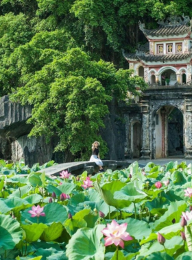 This image shows the serene waters of Tam Coc, with a traditional wooden boat gliding through lush green rice paddies flanked by towering limestone cliffs. The peaceful scenery captures Vietnam’s rural charm, making it a perfect destination for photographers seeking natural beauty and cultural experiences.