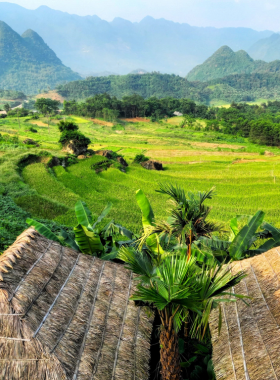 This image shows the terraced rice fields of Pu Luong Nature Reserve, with vibrant green layers cascading down the hills. The scene is enriched by the surrounding misty mountains and small village houses, showcasing the beauty of rural Vietnam and its harmonious connection with nature.