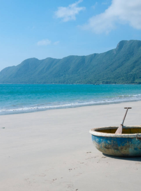 This image shows the pristine beach of the Con Dao Islands, with turquoise waters, soft white sand, and lush greenery. The scene captures the untouched beauty of this tropical paradise, perfect for underwater exploration, wildlife photography, and peaceful relaxation.