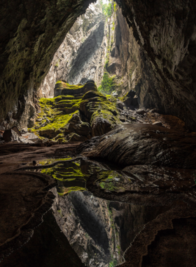 This image shows the massive interior of Son Doong Cave, with light streaming through an opening, illuminating the lush green vegetation inside. The unique formations and surreal landscapes make it an awe-inspiring destination for photographers and adventurers alike.