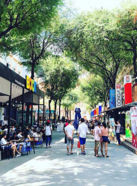 This image shows the bustling Nguyen Van Binh Book Street in Ho Chi Minh City, where rows of bookstores offer a wide range of books, from novels to art and travel guides. Visitors stroll through the street, enjoying the relaxed atmosphere, while nearby cafés provide a place to sit and read. The street has become a cultural hub for book lovers, offering an inviting space for literary exploration and casual browsing.