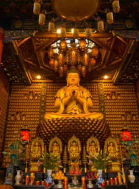 This image shows Chua Van Phat, the Temple of Ten Thousand Buddhas, a serene Buddhist temple in Ho Chi Minh City. The temple is adorned with thousands of Buddha statues and offers a peaceful atmosphere for reflection and meditation. It’s a spiritual sanctuary where visitors can explore Buddhist culture and enjoy a moment of calm amidst the city’s hustle.