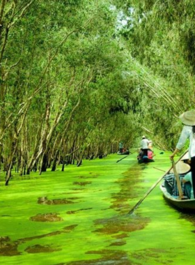 This image shows a scenic boat ride in the Mekong Delta, surrounded by lush greenery and small vibrant villages. The calm waters reflect the sky and trees, creating a peaceful atmosphere perfect for photographers who love capturing the essence of rural life and nature in Vietnam. The boat gently glides through the waterways, offering an unforgettable view of the delta’s natural beauty, ideal for snapping pictures of this tranquil rural setting.