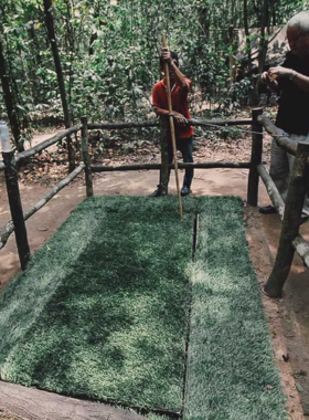 This image shows the Cu Chi Tunnels surrounded by thick jungle, where the man-made tunnels blend seamlessly with the natural landscape. The dense greenery contrasts with the underground history of the tunnels, offering a perfect opportunity for photographers to capture both historical and natural elements. The lush jungle environment adds a unique touch to the historical site, making it a fascinating destination for anyone interested in capturing the intersection of nature and history.