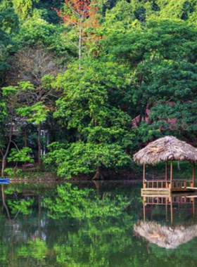 This image shows the rich biodiversity of Cat Tien National Park, a haven for wildlife photographers. The park is home to various rare species, including the black-shanked douc langur, surrounded by lush greenery. The dense forest and diverse wildlife create an ideal environment for capturing nature in its rawest form. Photographers can explore the walking trails and snap photos of the park’s flora and fauna, immersing themselves in the beauty of Vietnam’s unique wildlife.