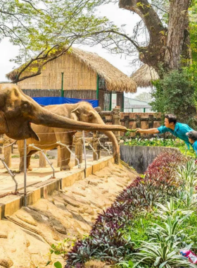 This image shows the Saigon Zoo and Botanical Gardens, where nature and wildlife meet in harmony. The zoo is home to various animals like tigers, elephants, and birds, while the botanical gardens offer a lush, green backdrop. Photographers can capture the beauty of both wildlife and plant life in this peaceful environment. Whether photographing the animals or the vibrant flora, this spot provides a unique opportunity to blend nature and history in one photographic experience.