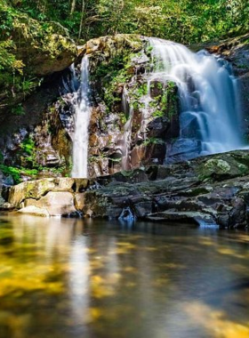 This image shows a beautiful view of Bach Ma National Park in Vietnam, featuring a cascading waterfall surrounded by dense green forests. The hiking trail leads through lush landscapes, offering adventure and scenic beauty. The natural setting includes tall trees, rocky terrain, and vibrant flora, making it an ideal destination for trekking enthusiasts and nature explorers.