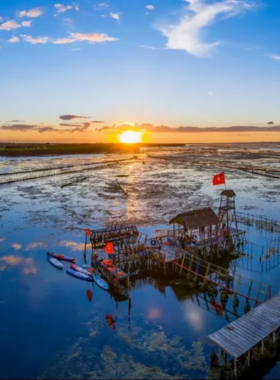 This image shows Tam Giang Nature Reserve in Vietnam, a lush mangrove ecosystem teeming with wildlife. The serene waterway is surrounded by dense greenery, providing a peaceful habitat for various bird species. Traditional wooden boats are visible, showcasing the area’s connection to local fishing culture. The natural beauty and biodiversity make it an ideal spot for eco-tourism and birdwatching enthusiasts.