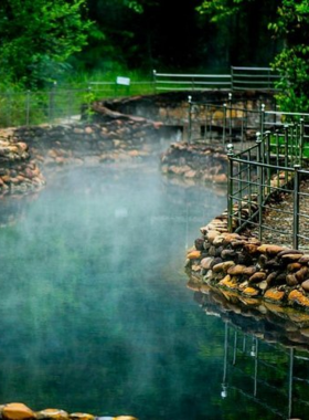 This image shows Thanh Tan Hot Springs in Hue, Vietnam, featuring a zipline that runs through lush green forests and over natural hot springs. The photo captures adventure seekers enjoying the thrilling ride, surrounded by scenic landscapes. The tranquil hot springs below provide a relaxing contrast, making this destination a unique mix of adrenaline-pumping activities and rejuvenation.