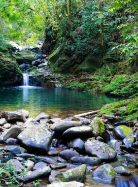 This image shows a trekking trail in Nam Dong Nature Reserve, Vietnam, surrounded by dense greenery and vibrant flora. The trail winds through the forest, offering scenic views of the natural landscape. Hikers are seen exploring the area, enjoying the peaceful atmosphere and opportunities for birdwatching. The reserve’s focus on eco-tourism makes it a sustainable and enriching experience for nature enthusiasts.