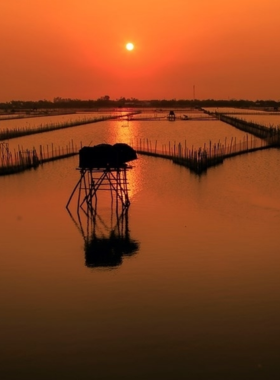 This image shows the Quang Dien Wetlands, a peaceful and serene natural habitat perfect for birdwatching. The calm waters reflect the surrounding lush greenery, creating a beautiful, tranquil scene. A small boat can be seen gliding across the water, adding a sense of exploration. The wetlands are teeming with various bird species, making it a paradise for photographers. The image highlights the untouched beauty of this nature spot, perfect for those seeking quiet moments in Hue’s natural landscape.