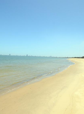 This image shows Red Beach in Da Nang, Vietnam. Known for its calm waters and less crowded vibe, Red Beach offers a peaceful retreat for visitors. The soft, golden sand stretches along the shore, with a few visitors relaxing or enjoying a swim in the clear waters. The tranquil environment is perfect for anyone looking to escape the hustle and bustle. In the background, the lush greenery and calm waves provide a perfect setting for a quiet and rejuvenating beach experience.