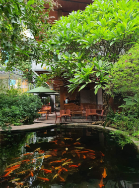 This image shows Nia Café, a tranquil garden café in Da Nang surrounded by lush greenery. The picture captures the serene outdoor seating area with wooden chairs and tables placed among vibrant plants and flowers. Customers are seen sipping refreshing drinks and enjoying light snacks in a peaceful setting. The natural ambiance and calm vibes make it feel like an oasis, perfect for unwinding after a long day.