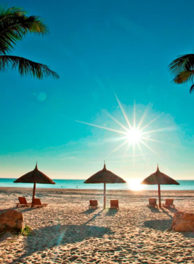 This image shows the serene and beautiful My Khe Beach in Da Nang at sunset. The clear waters, soft white sands, and relaxing atmosphere create the perfect beach getaway. Visitors can enjoy the sunset while swimming, sunbathing, or enjoying water sports. The image captures the tranquil vibe of the beach and the peaceful surroundings, making it a perfect escape from the city’s hustle. My Khe Beach offers an idyllic setting for relaxation and connecting with nature.