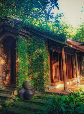 This image shows the eco-museum at Dong Dinh Museum, located on the Son Tra Peninsula. The image captures the traditional Vietnamese homes and antique displays featured in the museum’s exhibits. Set in a peaceful forest environment, the museum offers visitors an escape from the city while showcasing the region’s cultural history. The artifacts tell the story of local life, and the tranquil setting adds to the charm of this hidden gem, providing a quiet cultural experience for visitors.