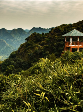 This image shows that Cat Ba National Park, located just outside Da Nang, is a nature lover's paradise. With its dense forests, rugged cliffs, and diverse wildlife, it offers perfect opportunities for wildlife photography. Visitors can capture images of local animals, such as monkeys and rare birds, as well as stunning landscapes that include both mountain views and coastal beauty, making it a must-see destination for nature photographers.