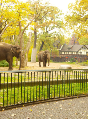 This image shows the Berlin Zoo, one of the oldest and most famous zoos in Europe. Located near Tiergarten Park, it is home to over 20,000 animals from around the world, including rare and endangered species. The zoo also has a beautiful aquarium showcasing marine life from every corner of the globe. It’s an ideal spot for animal lovers and families looking to spend a fun, educational day out while learning about wildlife conservation.