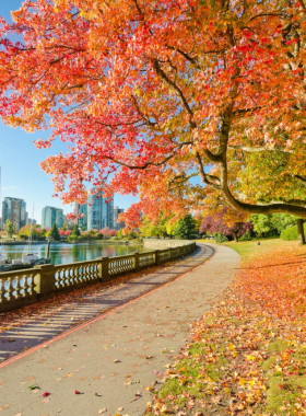 This image shows Stanley Park in Vancouver, British Columbia, a vast green oasis in the middle of the city. The park is filled with towering trees, walking and biking trails, and open grassy fields where people relax and enjoy nature. The famous Seawall path curves along the coastline, offering a scenic route for cyclists and pedestrians with stunning views of the water and mountains. In the background, the city skyline rises, blending urban life with the natural beauty of the park. The image captures visitors exploring the park, some having picnics, others watching wildlife like birds and squirrels. Stanley Park is home to beautiful gardens, beaches, and historical landmarks, making it a must-visit spot for both tourists and locals. Whether you want to take a peaceful walk, visit the Vancouver Aquarium, or just enjoy the fresh air, Stanley Park is the perfect escape from city life.