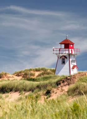 This image shows a ferry sailing towards Prince Edward Island, a peaceful and picturesque destination known for its red cliffs, sandy beaches, and rolling green fields. The ferry moves through the calm blue waters, with passengers standing on the deck enjoying the fresh sea breeze. In the distance, the island’s coastline comes into view, showcasing a mix of natural beauty and charming rural landscapes. The sky is clear, making the journey even more enjoyable. Some travelers relax with a warm drink, while others take photos of the scenic surroundings. The ferry ride provides a relaxing way to start an adventure on the island, whether it’s for exploring lighthouses, cycling along quiet roads, or tasting the island’s famous seafood. Prince Edward Island is the perfect getaway for those seeking a mix of nature, history, and tranquility, and the ferry ride itself is part of the unforgettable experience.