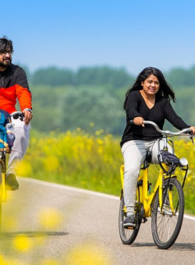 This image shows a cyclist riding through the scenic countryside of the Netherlands, surrounded by fields and lush greenery. Cycling is one of the best ways to explore the country, and the Netherlands offers an extensive network of bike paths through picturesque rural landscapes. Whether passing by flower fields, windmills, or quiet villages, cycling provides an immersive and peaceful way to experience the natural beauty of the Dutch countryside.