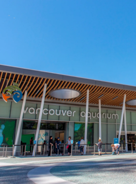 This image shows the Vancouver Aquarium, a popular attraction showcasing marine life. The large aquarium tanks are filled with colorful fish, jellyfish, and sea turtles. A crowd is gathered around the glass, watching playful sea otters and dolphins. Informational exhibits about ocean conservation and marine ecosystems are visible, making it an educational experience for visitors of all ages. Families and children are enjoying interactive exhibits, highlighting the importance of protecting underwater species and habitats.