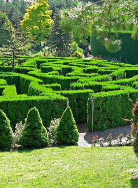 This image shows the VanDusen Botanical Garden, a lush green paradise in Vancouver filled with colorful flowers and exotic plants. Visitors are walking along winding pathways, admiring perfectly landscaped gardens and scenic ponds. A variety of plant species from around the world are displayed, creating a peaceful and serene atmosphere. Benches and picnic spots are scattered throughout, inviting people to relax and enjoy nature. It’s a perfect place for photography and leisurely walks.