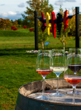 This image shows visitors enjoying a wine tasting at one of Niagara’s local wineries. Guests can be seen sampling a variety of wines in a cozy tasting room, with vineyards stretching out in the background. The region is known for its excellent wines, particularly ice wine, and offers a relaxing and informative tour of the winemaking process. The scenic landscape, combined with the delicious wines, makes for a memorable and enjoyable experience.