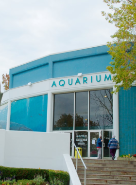 This image shows visitors exploring the Niagara Falls Aquarium, where they can view a variety of marine life, from sea lions to colorful fish. The aquarium offers a family-friendly experience with interactive exhibits and informative displays. Tourists can learn about the ecosystems of the Niagara River and the creatures that inhabit it, making it an educational and fun stop on any trip to Niagara Falls."