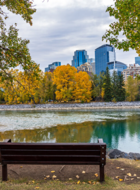 This image shows people relaxing in Prince Island Park, a beautiful green space located along the Bow River in Calgary. With its scenic views, walking paths, and peaceful atmosphere, the park offers the perfect environment for picnics, leisurely strolls, and outdoor activities. It’s a popular spot for locals looking to unwind, enjoy nature, or attend one of the many free concerts and events held throughout the year in this tranquil urban oasis.