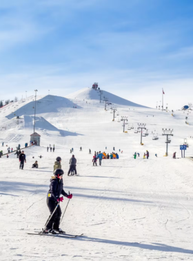 This image shows skiers on the slopes of Canada Olympic Park during the winter months. Originally the site of the 1988 Winter Olympics, the park is now a year-round destination for skiing, snowboarding, and other outdoor activities. During the winter, the park is transformed into a snowy playground, offering fantastic opportunities for both beginners and experienced skiers and snowboarders to enjoy the thrill of the slopes, all while surrounded by picturesque mountain views.