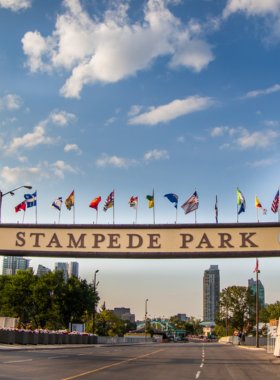 This image shows the action-packed Calgary Stampede rodeo event, where cowboys and cowgirls compete in various events like bull riding, barrel racing, and calf roping. Known as “The Greatest Outdoor Show on Earth,” the Calgary Stampede is an iconic annual event that brings together people from all over the world to experience the thrill of the rodeo, enjoy live music performances, and indulge in fairground food and entertainment. The high-energy atmosphere and western traditions make it an unforgettable experience.