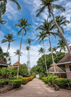 This image shows Koh Tao Coral Grand Resort near Sairee Beach, offering comfortable rooms with easy beach access. The resort features a diving center, pool, and restaurant serving Thai and international dishes, making it ideal for diving lovers.