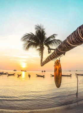 This image shows Haad Sai Daeng, a peaceful beach in Koh Tao known for its excellent snorkeling opportunities. The beach features clear waters rich with marine life, colorful corals, and a serene atmosphere. Its secluded location surrounded by green cliffs makes it perfect for visitors looking to enjoy nature and underwater adventures.