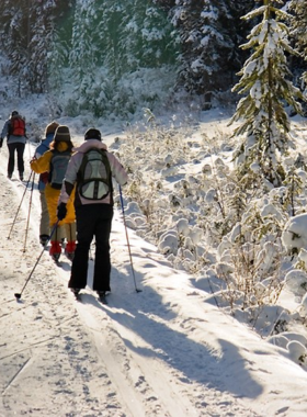 This image shows a winter adventure in Banff, where visitors can try snowshoeing or cross-country skiing through pristine snow-covered landscapes. The trails in Banff offer a perfect winter escape, surrounded by towering trees and snow-covered peaks. Whether you're gliding on skis or trekking with snowshoes, the experience allows you to explore the beauty of Banff National Park in a peaceful and exhilarating way. This image shows that Banff is an excellent destination for winter sports and outdoor adventure.