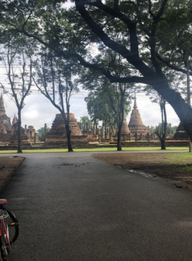 This image shows cyclists riding along the scenic West Sukhothai Cycle Route, passing through ancient temples, local markets, and green fields, allowing for both historical exploration and outdoor activity.