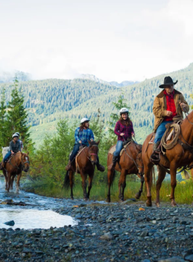 This image shows a scenic horseback riding tour in Whistler, with riders exploring a peaceful forest trail. The horses move gently through the lush greenery, surrounded by towering trees and open meadows. The riders are dressed comfortably, enjoying the slow pace and natural beauty of the surroundings. This image perfectly captures the relaxing and immersive experience of horseback riding in Whistler’s beautiful wilderness.