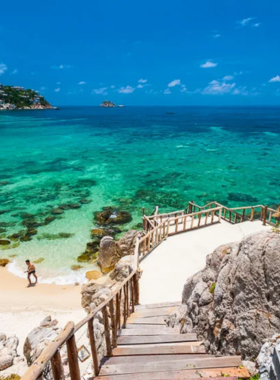 This image shows snorkelers exploring the clear waters of Shark Bay, Koh Tao. The bay is famous for its blacktip reef sharks and vibrant marine life. With calm, shallow waters and rich coral reefs, it's an ideal spot for underwater exploration and snorkeling enthusiasts of all levels.