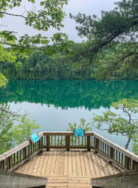 This image shows the stunning natural landscapes of Gatineau Park, located just outside of Ottawa. The park is a haven for outdoor enthusiasts, offering hiking, cycling, and skiing opportunities during different seasons. In summer, visitors can enjoy the lush green trails, while in winter, it becomes a paradise for snowshoeing and cross-country skiing. With its picturesque lakes and breathtaking lookouts, Gatineau Park is the ideal place to reconnect with nature and enjoy outdoor activities just a short drive from Ottawa.