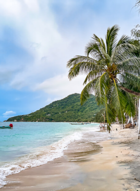 This image shows the vibrant nightlife scene on Sairee Beach, Koh Tao, with lively beach bars, fire shows, and people dancing by the water. The beach is the center of Koh Tao’s nightlife, offering visitors an exciting and fun-filled atmosphere to enjoy after the sun goes down.