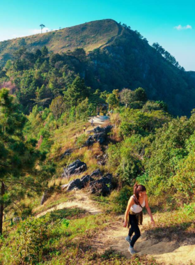 This image shows a beautiful hiking trail in Chiang Rai, offering breathtaking views of lush green forests and waterfalls. It’s a perfect destination for nature lovers and adventurers, providing an opportunity to explore the natural beauty of Northern Thailand.