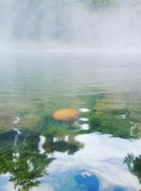 This image shows the natural hot springs at Huay Mak Lium, located in Chiang Rai, Thailand. Visitors can relax in the warm therapeutic waters surrounded by lush greenery, making it an ideal place for rejuvenation and peace in a beautiful natural setting.